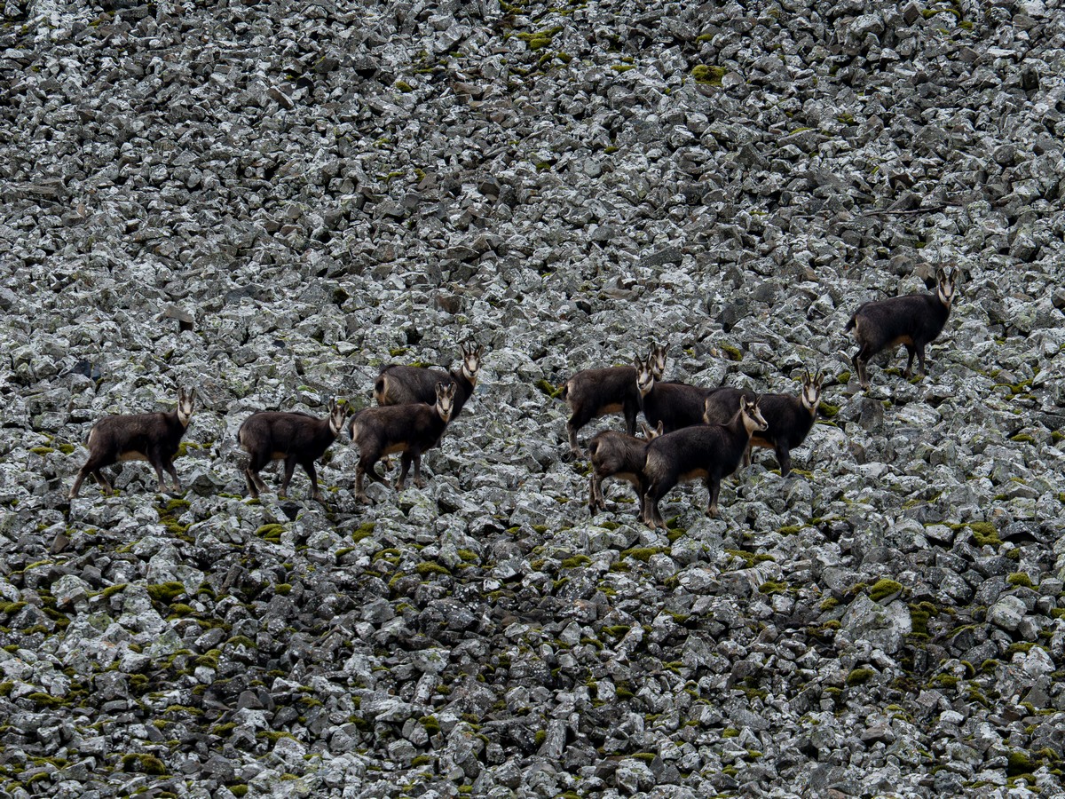 05022026-05 02 2026 (10).jpg